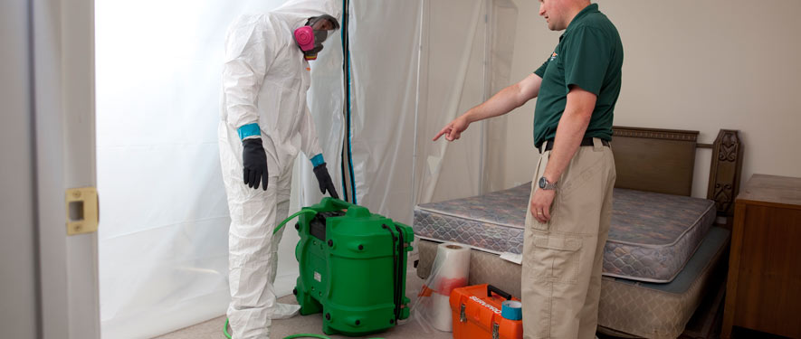 Fort Dodge, IA mold removal process